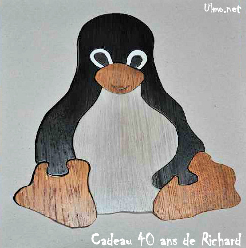 Un zoli pingouin pour un passionné de Linux !